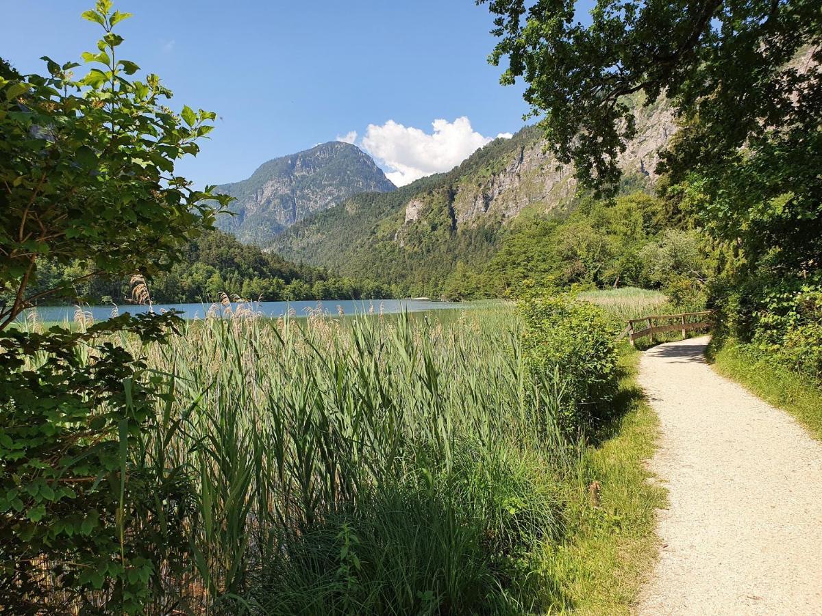 Ferienwohnung Fresdorf Bad Reichenhall Eksteriør bilde